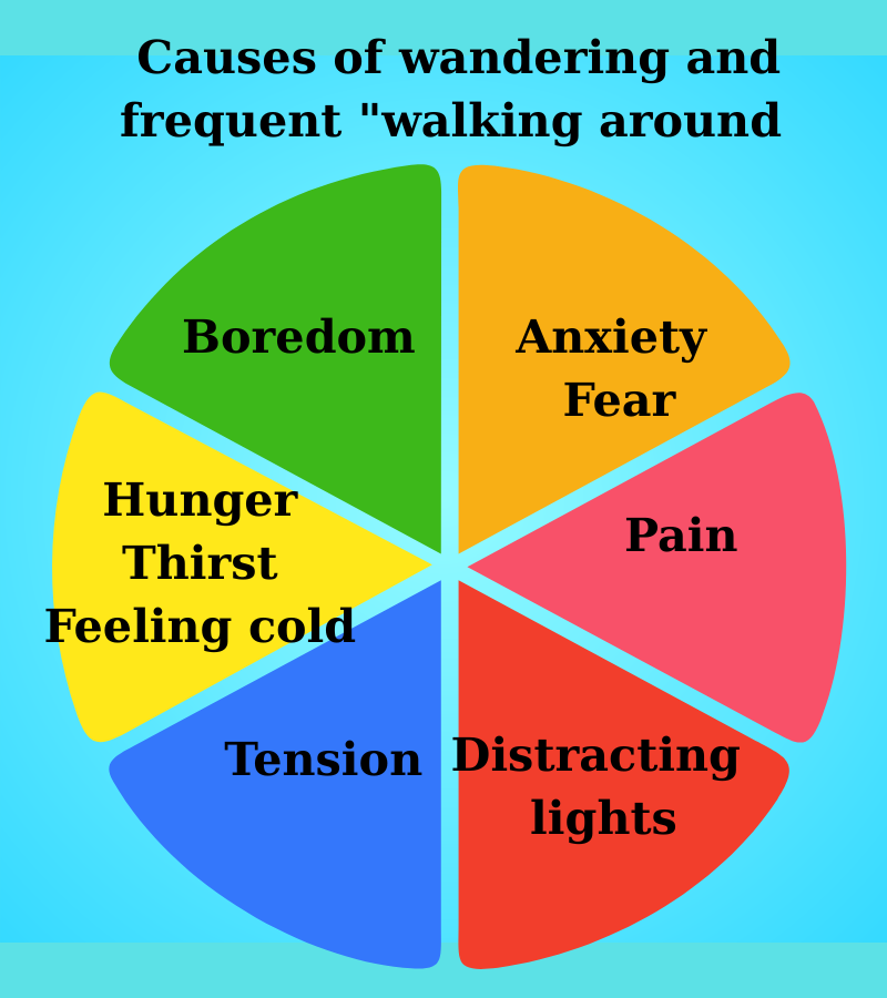 Causes of wandering and "frequent walking