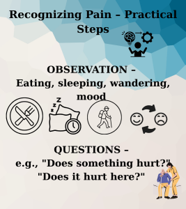 The illustration shows practical steps for recognizing pain: the method of observation and the use of simple yes/no questions.