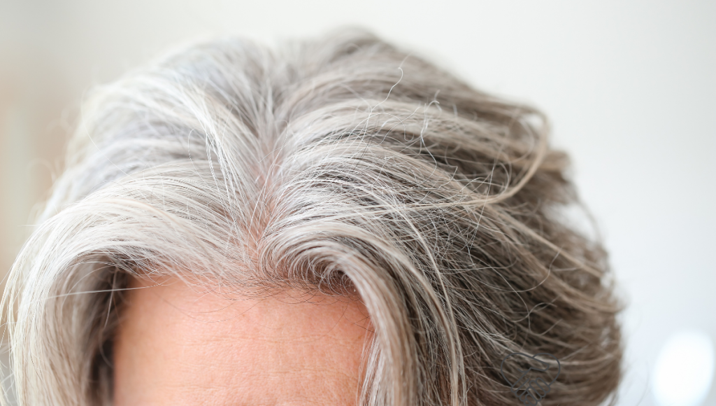Close-up of an elderly person's well-groomed, tidy hair.